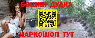 сатива Краснодар