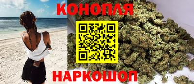 сатива Краснодар