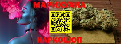 сатива Краснодар