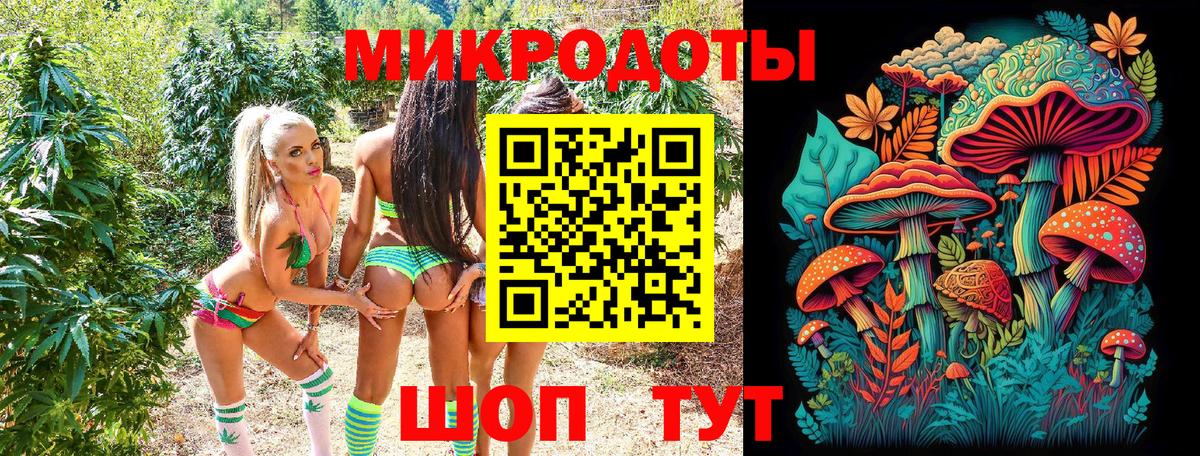 Псилоцибиновые грибы мухоморы Киселёвск