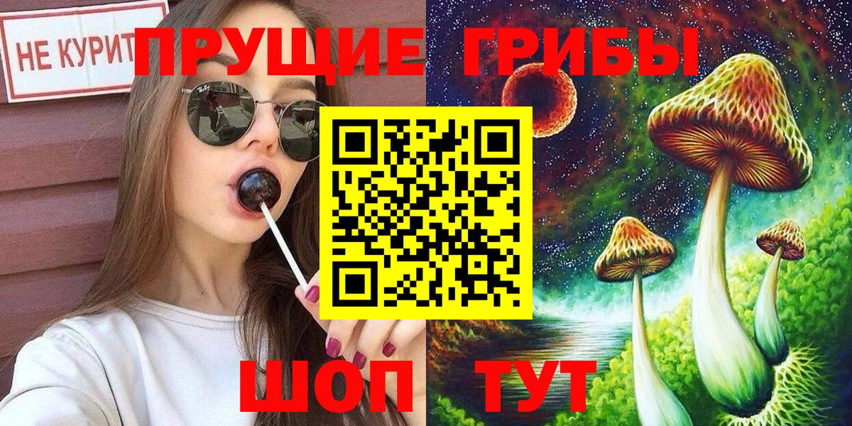 Киселёвск  Псилоцибиновые грибы MAGIC MUSHROOMS  Вход с VPN 