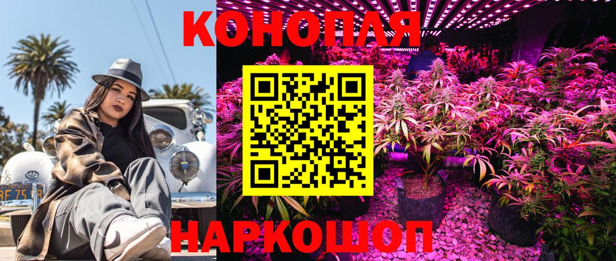 Киселёвск  Конопля MAZAR  Вход с VPN  Шишки марихуана ГИДРОПОН 